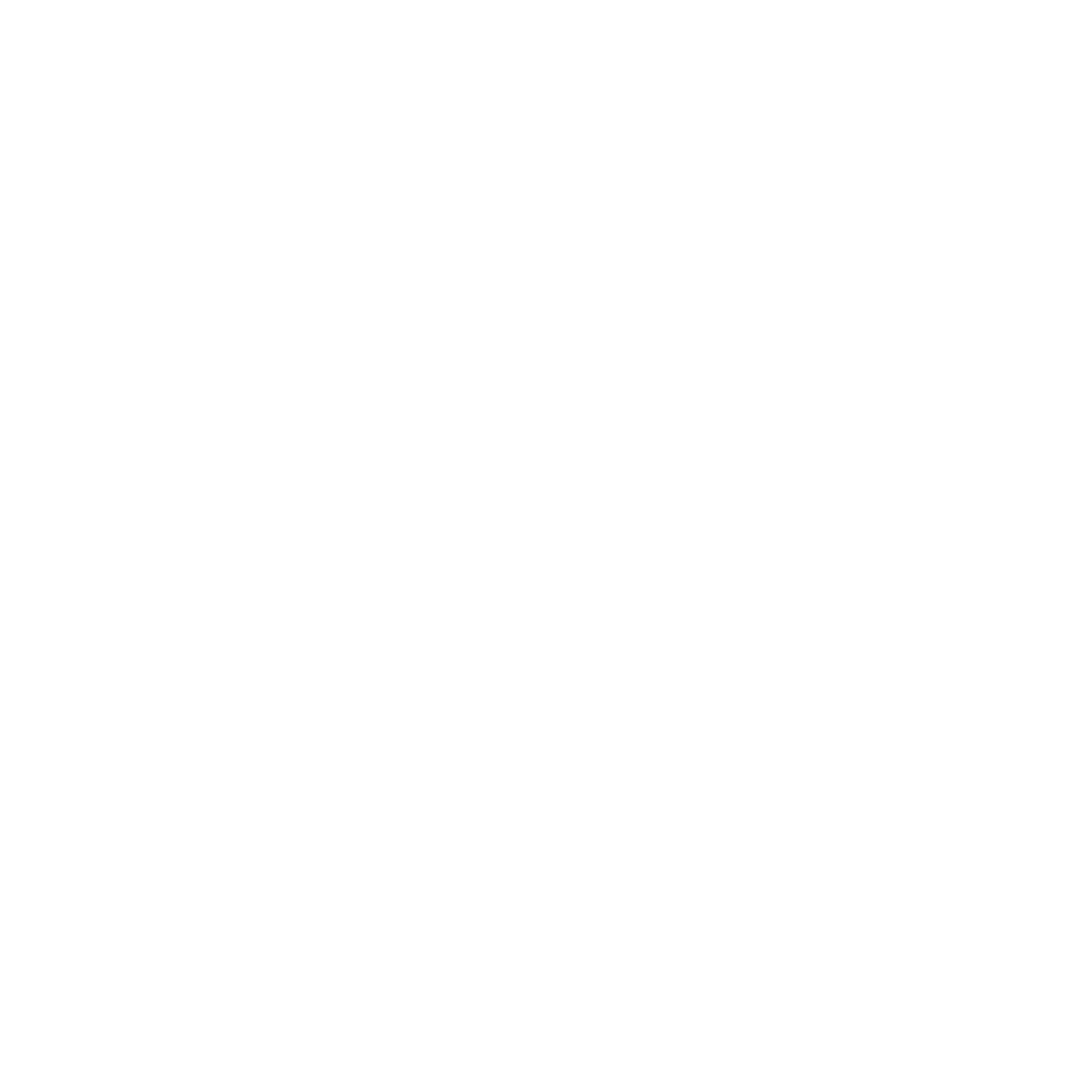 Instagram logo in white.